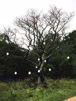 Axel Antas, <em>Tree Structure (Unbearable lightness)</em>, 2006 