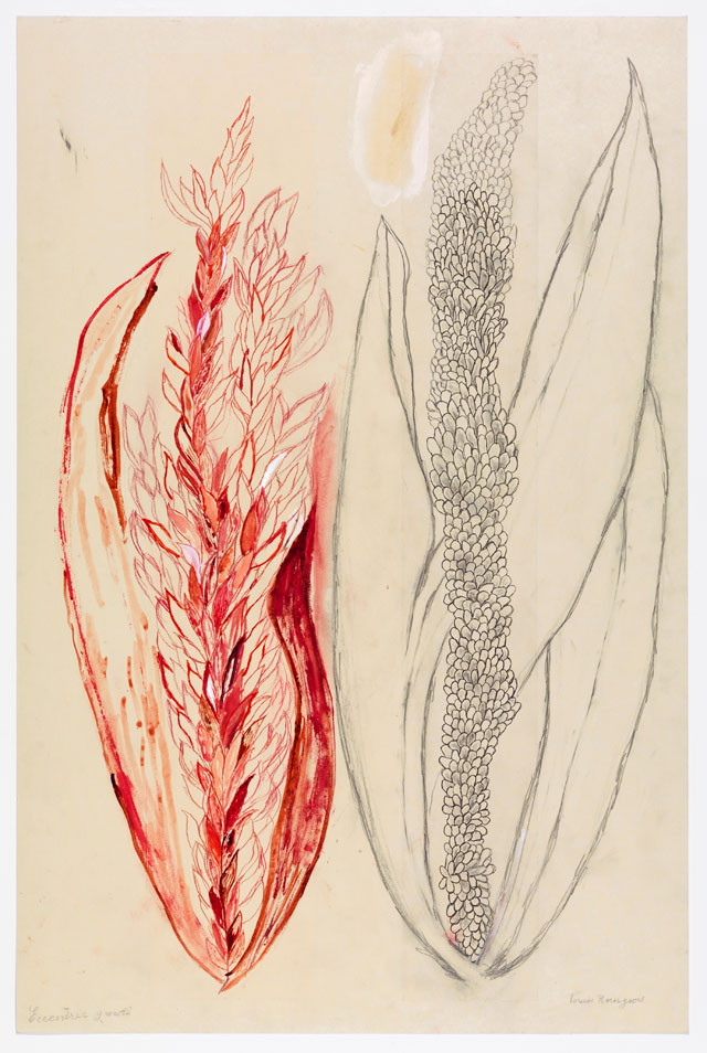 Louise Bourgeois. Eccentric Growth I, 2006. Soft ground etchings, with hand additions. Sheet: 58 1/2 × 38 1/8 in (148.6 × 96.8 cm). Collection Louise Bourgeois Trust and Osiris, New York. © 2017 The Easton Foundation/Licensed by VAGA, NY.