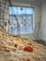 Eilidh Appletree, installation view, Net Worthy, part of Catalyst: Art as Activism, Summerhall Arts, Edinburgh, 31 January – 29 March 2026. Courtesy of the artist.