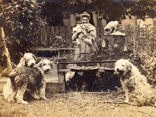 Emily Carr and pets in her garden at 646 Simcoe Street, Victoria, British Columbia, c1918. Courtesy of the Royal BC Museum, BC Archives.