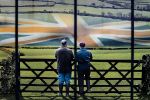 Merlin Daleman. The window of a supermarket advertising British produce in Morecambe, November 2019.