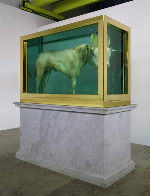 Damien Hirst. <em>The Golden Calf</em> (on plinth angle), 2008. Calf, 18 carat gold, glass, gold-plated steel, silicone and formaldehyde solution with Carrara marble plinth, 84.8 x 126 x 54 in. / 215.4 x 320 x 137.2 cm. © Damien Hirst