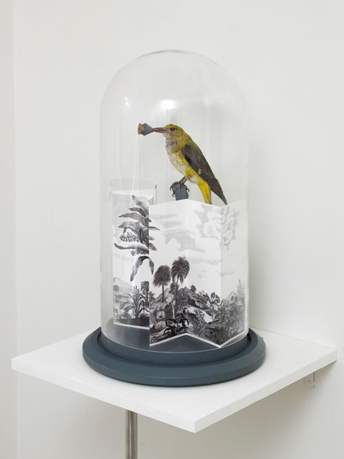 Paul Etienne Lincoln. <em>Sinfonia Torinese/Cyanopica Cyanus (Blue Magpie),</em> 2005. Bell jar containing Taxidermied Cyanopica Cyanus and pigment print with gouache additions depicting 1/14th of the total mechanical score of Cabiria. Photo: Andy Keate.