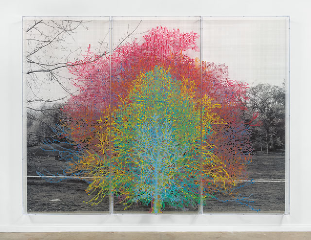 Charles Gaines. Numbers and Trees, Central Park, Series I, Tree #9, 2016. Black-and-white photograph, acrylic on plexiglass (3 panels), each 96 x 42 in (243.9 x 106.7 cm), overall approx. 8 ft x 10 ft 6 in (243.9 x 320 cm). © Charles Gaines. Courtesy Paula Cooper Gallery, New York.