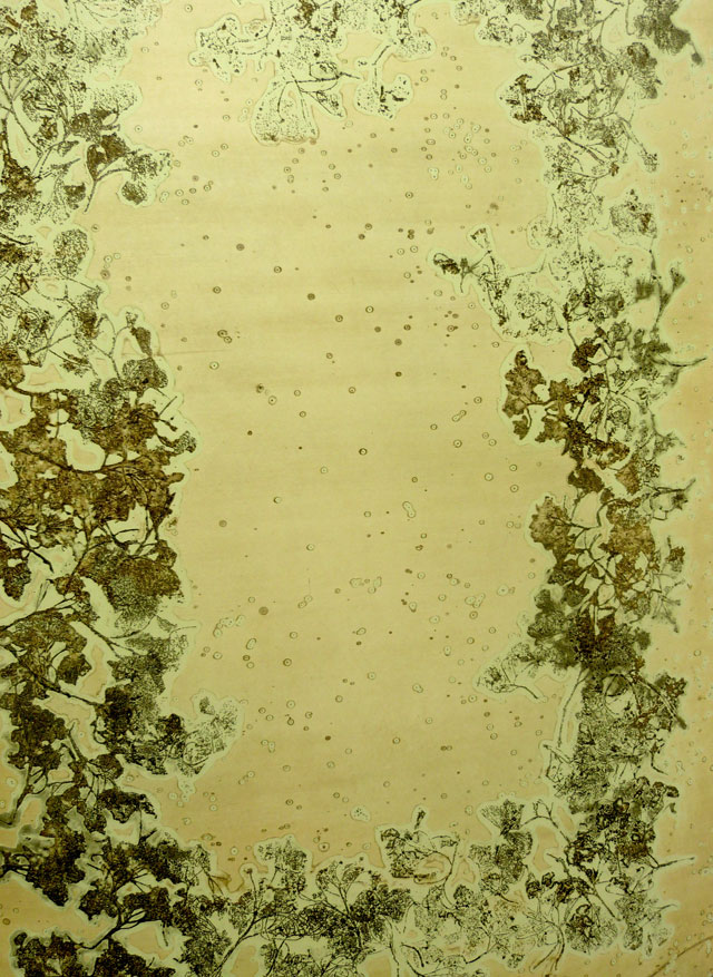 Sotaro Ide book page. Copper-plate etching, 90 x 60 cm.
