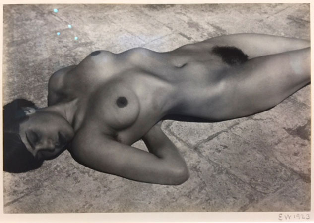 Nudist Pussy - Art Basel Miami Beach 2017