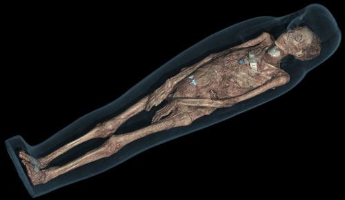 CT scan 3D visualisation of the mummified remains of Tayesmutengebtiu, also called Tamut, showing her body within the cartonnage. © Trustees of the British Museum.