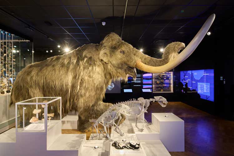 The Box, Plymouth, Museum of the Year, 2026. Photo: © David Levene / Art Fund 2026.