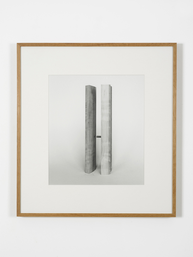Becky Beasley. Extensions (Elaboration No. 1), 2013. Gelatin silverprint. Courtesy: Laura Bartlett Gallery, London.