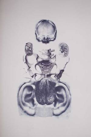 Susan Aldworth. Reassembling the Self 3, 2012. Lithograph made at the Curwen Studio, 85 x 65 cm, lithograph made at the Curwen Studio 2012. Image courtesy of the artist and GV Art.