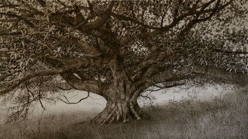 Nicholas Blowers. <em>Fig in long grass,</em> 2006. Oil on paper, 56 x 99.5 cm