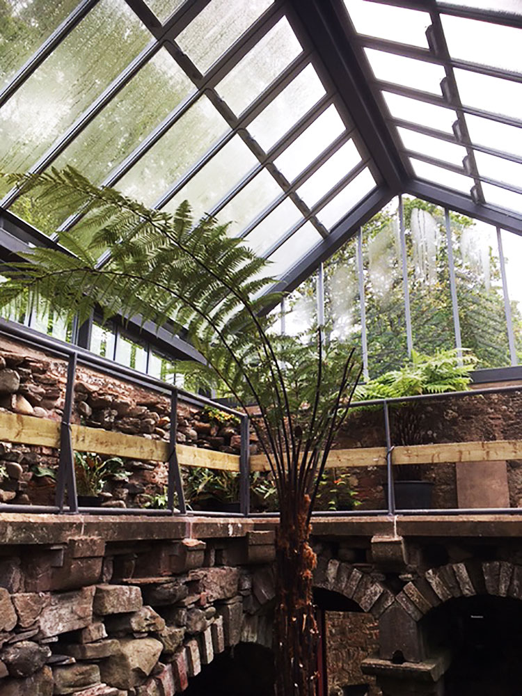 Hospitalfield, fernery from ground floor, with the first plants yet to mature. Photo: Veronica Simpson.