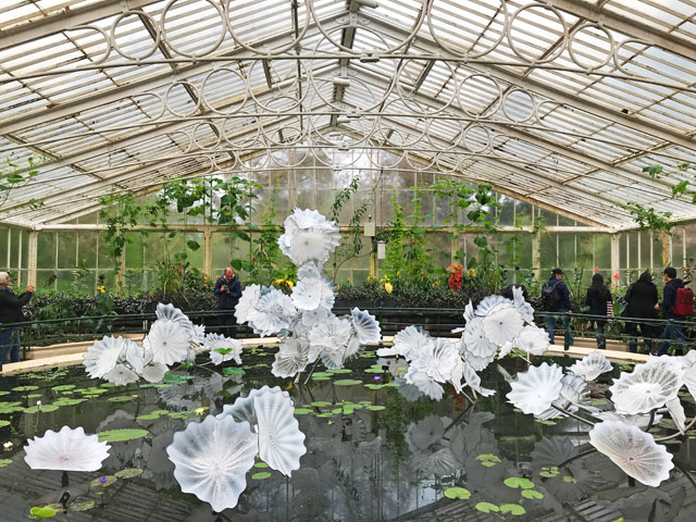 Dale Chihuly. Ethereal White Persian Pond, blown glass, 2018, installation in the Waterlily House. Royal Botanic Gardens, Kew, London 2019. Photo: Anna McNay.