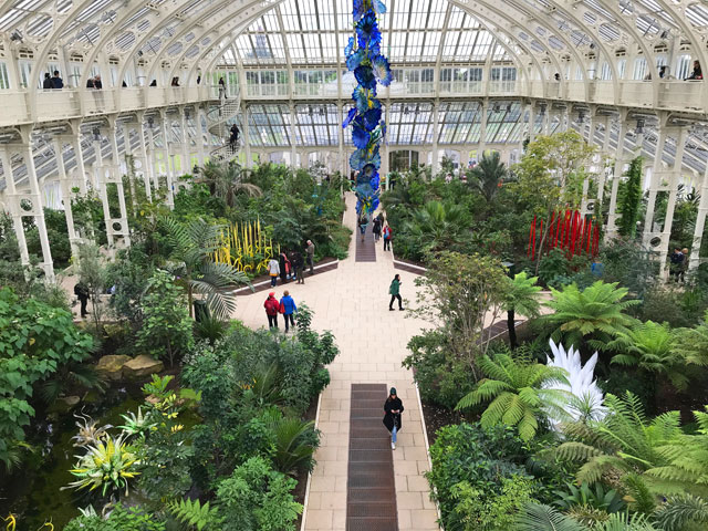 Dale Chihuly. Installations in the Temperate House, Royal Botanic Gardens, Kew, London 2019. Photo: Anna McNay.