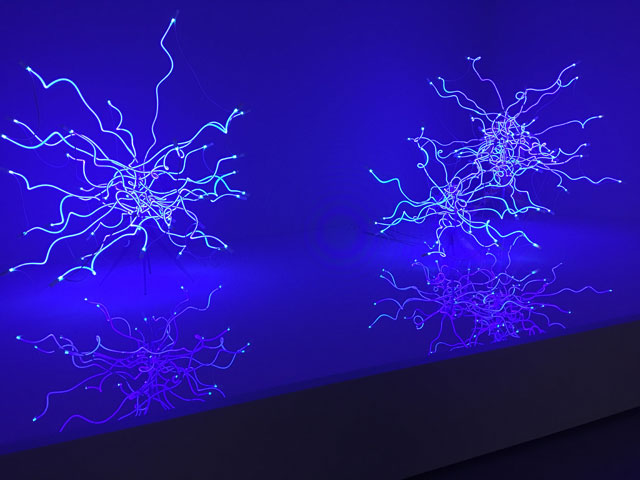 Dale Chihuly. Sapphire Neon Tumbleweeds, 2018. Installation view, Groninger Museum. Photo: Veronica Simpson.