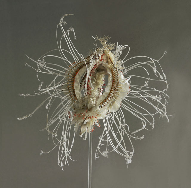 Laura Youngson Coll. Haeckel I, 2015. Vellum, Supernatural vellum, hair, sheep leather, armature, approx. 25 cm in diameter. Photograph: Laura Youngson Coll.