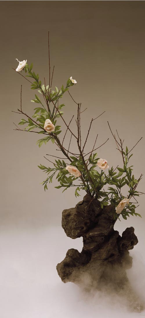 Qingsong Wang. White Peony, 2003. Type C-print, 50x110cm. Courtesy of the artist.