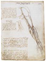 Leonardo da Vinci. Vessels of the arm with comparison of vessels in the old and the young, c.1508. Pen and ink 19 x 13.3 cm. Royal Collection 