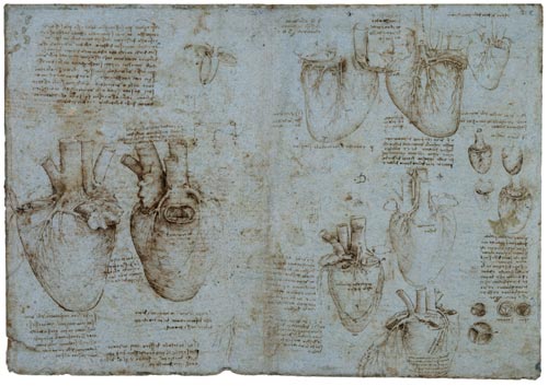 Leonardo da Vinci: Experience, Experiment, Design