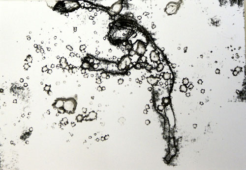 Tom de Freston. <em>Floater</em>, 2009. Monoprint on paper, 30 x 23 cm.