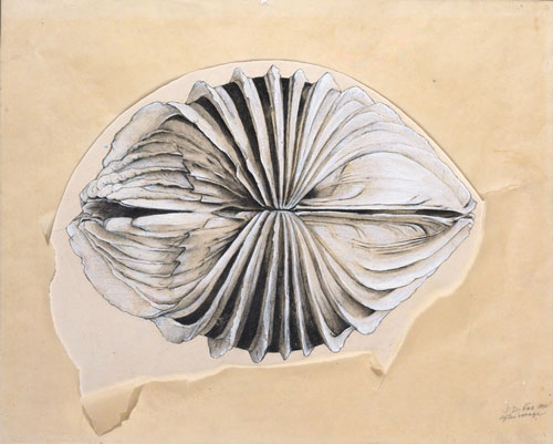 Jay DeFeo. After Image, 1970. Graphite, gouache, and transparent synthetic polymer on paper with cut-and-torn tracing paper, 14 1/2 x 19 1/2 in. (36.8 x 49.5 cm). The Menil Collection, Houston; gift of Glenn Fukushima. © 2012 The Jay DeFeo Trust/Artists Rights Society (ARS), New York. Photograph: Paul Hester.