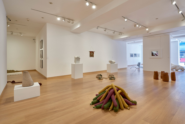Installation view, Barry Flanagan, Animal, Vegetable, Mineral, 4 March - 14 May 2016, Image courtesy of Waddington Custot Galleries, London.