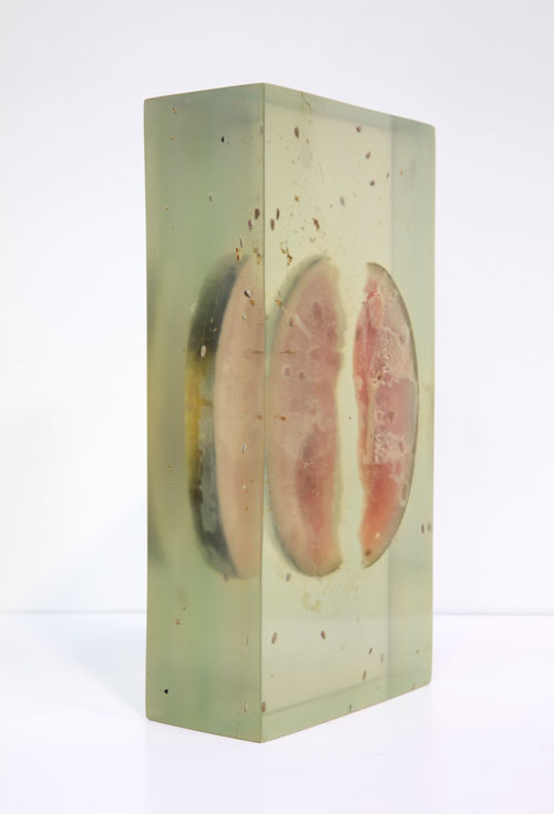 Vibha Galhotra. Consumed Contamination, 2012. Organic matter embedded in resin, 15 3/8 x 7 7/8 x 4 7/8 in.