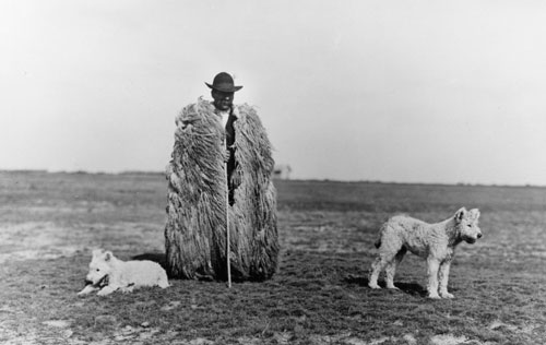 Rudolf Balogh. <em>Shepherd with his Dogs, Hortobagy</em>, c1930. Silver gelatin print, 180 x 290 mm. Hungarian Museum of Photography. Copyright Hungarian Museum of Photography.