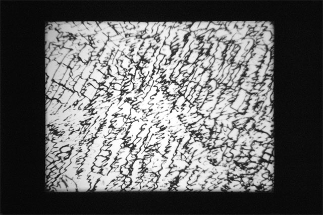 Joachim Koester. My Frontier is an Endless Wall of Points (after the mescaline drawings of Henri Michaux), 2007. 16mm film, black and white, silent 10 min 24 sec, film still. Courtesy the artist and Jan Mot, Brussels.