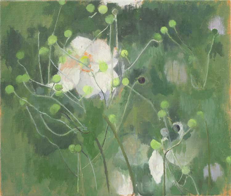 Charlotte Verity, Anemones, 2021. Oil on canvas, 25.3 x 30.7 cm (10 x 12 1⁄8 in). © Charlotte Verity, all rights reserved DACS 2024. Courtesy albertz benda, New York.