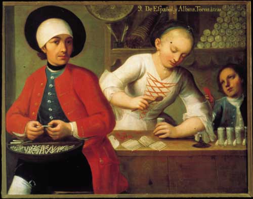 Anonymous. 9. De español y albina, torna atrás (From Spaniard and Albino, Return-Backwards), c. 1760-70. Oil on canvas. Private Collection. Photo: José Ignacio Ganzález Manterola