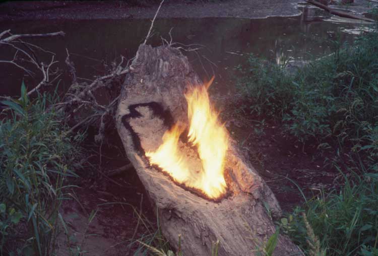 Ana Mendieta, Untitled: Silueta Series, 1977. © The Estate of Ana Mendieta Collection, LLC. Licensed by Artist Rights Society (ARS), New York / DACS, 2026 / Courtesy Marian Goodman Gallery and Alison Jacques, London