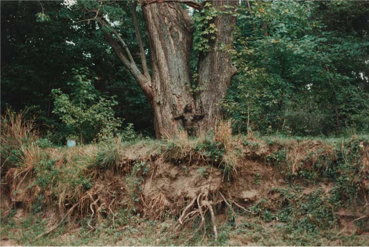 Ana Mendieta, Untitled: Silueta Series,1976 © The Estate of Ana Mendieta Collection, LLC. Licensed by Artist Rights Society (ARS), New York / DACS, 2026 / Courtesy Marian Goodman Gallery and Alison Jacques, London.