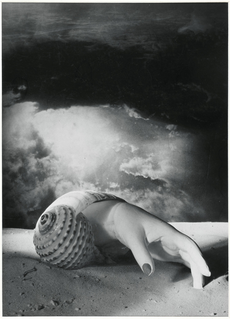 Dora Maar. Untitled (Hand-Shell), 1934. Photograph, gelatin silver print on paper, 40.1 x 28.9 cm. Centre Pompidou, Musée national d’art moderne, Paris. Photo © Centre Pompidou, MNAM-CCI, Dist. RMN-Grand Palais / image Centre Pompidou, MNAM-CCI. © ADAGP, Paris and DACS, London 2019.