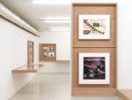 Exhibition view Rehang: Archives. Rooms with Enzo Cucchi, Vito Acconci, Giulio Paolini. Collezione Maramotti, Reggio Emilia, 2019. Photo: Dario Lasagni.