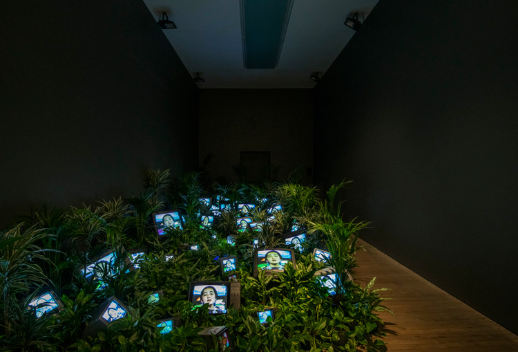 Nam June Paik. TV Garden 1974-1977 (2002). Installation view, Tate Modern 2019. Live plants, cathode-ray tube televisions and video, colour, sound installation dimensions variable. Kunstsammlung Nordrhein-Westfalen, Dusseldorf. Photo: © Tate (Andrew Dunkley).