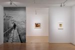 Betty Parsons: Sheer Energy, 2025, installation view, De La Warr Pavilion, Bexhill-On-Sea. Photo: Rob Harris. Courtesy Alison Jacques, London and Alexander Grey Associates, New York.