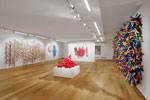 Anna Ray: Fibre and Form, installation view, St Albans Museum + Gallery, Weston Gallery. Photo: Rob Harris.