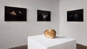 This modest exhibition consists of 10 photographs by Raintree of the work of Isamu Noguchi. Manipulating light and shadow, she transmutes his predominantly stone sculptures into otherworldly pitted lunar landscapes, Martian horizons and comets nestled within dustclouds