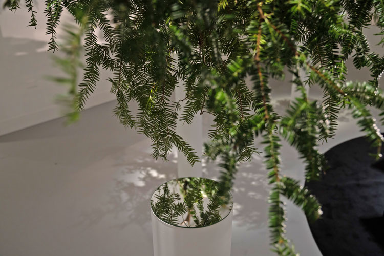 Swags brought in from forest in Yamanashi. Ayako Suwa: Taste of Reminiscence, Delicacies from Nature, installation view, Shiseido Gallery, Ginza, Tokyo, 2020.