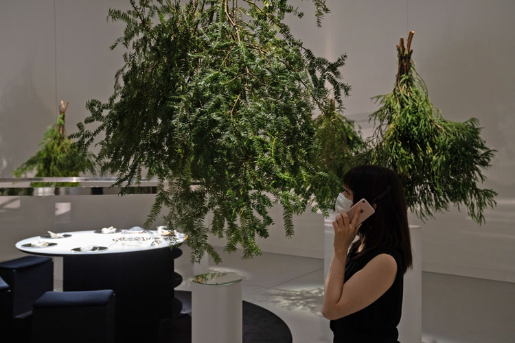 A visitor listening to the audio guide on her smartphone. Ayako Suwa: Taste of Reminiscence, Delicacies from Nature, installation view, Shiseido Gallery, Ginza, Tokyo, 2020.