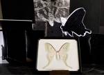Michelle Stuart. Moth, 2015. Archival inkjet photograph on Hahnemühle paper, 12 x 18 in. Photograph: Michelle Stuart. Courtesy Michelle Stuart.