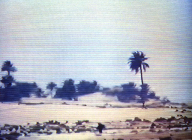 Bill Viola. Chott el-Djerid (A Portrait in Light and Heat), 1979. Videotape, colour, mono sound, 28 minutes. Produced at WNET/Thirteen Television Laboratory, New York.